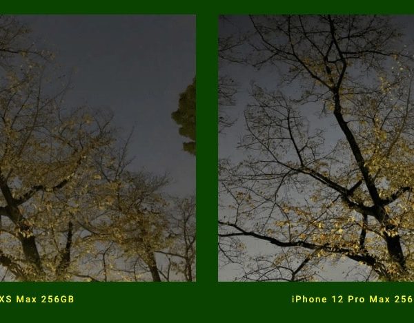 写真比較@夜間ナイトモード（IPHONE XS MAX, IPHONE 12 PRO MAX）